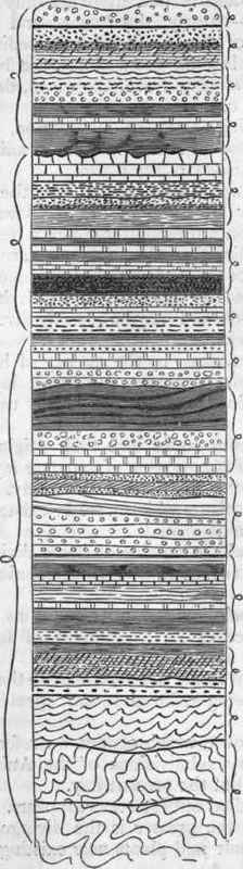 15 Distribution 9