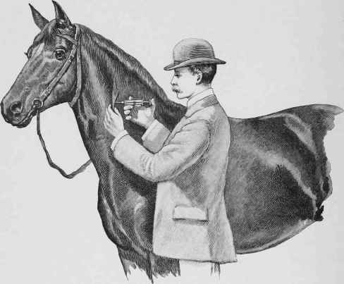 Inoculating with Mallein.