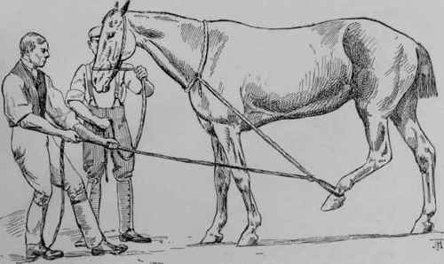 Drawing the Leg forward.