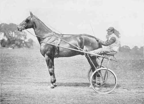 MR. WALTER WINANS' TROTTER, JOE W.