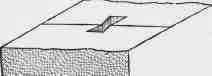 Fig. 136. Dovetailed Dowel.