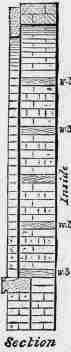 Segmental Face Arch 10063