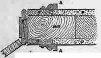Fig. 172. Scale, 1 inch = 1 foot.