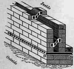 Fig. 6. Scale, ½ inch = l foot.