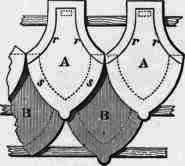 Wade And Cherry s Tiles 30073
