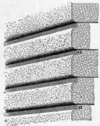 43 Rusticated Work 142