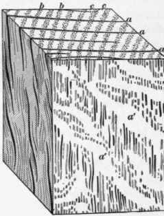 Timber Properties Of Timber Part 2 243