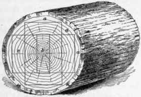 Timber Properties Of Timber Part 4 248