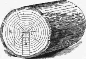 Timber Properties Of Timber Part 4 249