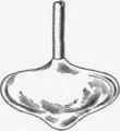 170 Classification Of Glass 285