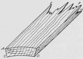 Fig. 8. Warped Board