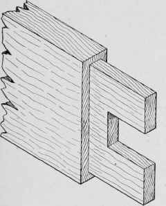 Fig. 82. Single Tenon Joint with Two Tenons