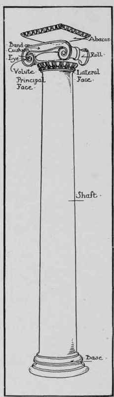 Fig. 61. Ionic Column.