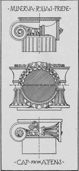 Fig. 66. Typical Decorations of Ionic Capital.