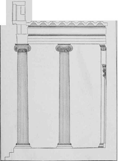 Ionic Order Part 5 080073