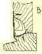 Sash Windows 208