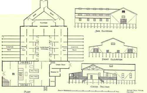 Fig. 231. Woolshed Tocumwal New South Wales