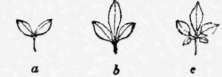 1 The Law Of Principality Perspective Elements 37