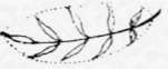 4 The Law Of Curvature Perspective Elements 45