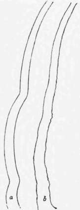 4 The Law Of Curvature Perspective Elements 48