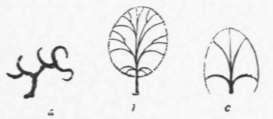 Letter II Sketching From Nature Perspective Elements 23