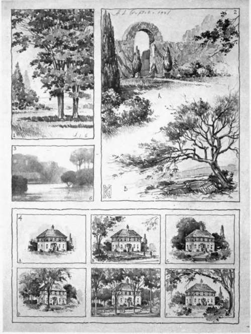 Additional Studies from Nature and Suggestions for the Uses of Trees in Conjunction with Architecture.