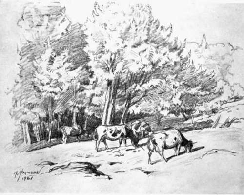 Pencil Sketch By M. R. Hermann.