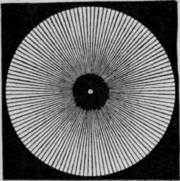 The Protractor.