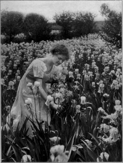 The Cleveland National Convention StudioLightMagazine1916 180