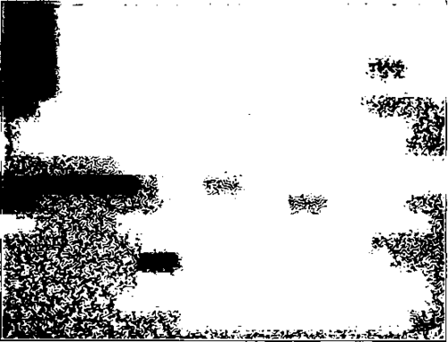 Fig. 39. Reticulation.