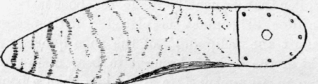 Fig. 94.