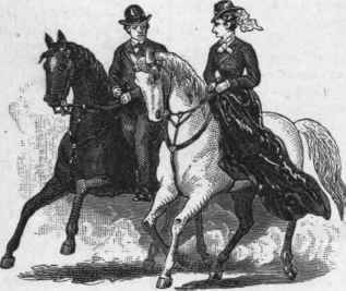 Fig. 18. THE RIDE ON HORSEBACK. The gentleman takes his position at the right of the lady