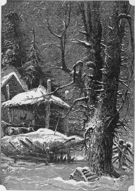 The First Snow Fall 777