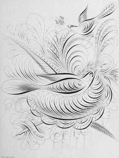 Twelfth Lesson 162