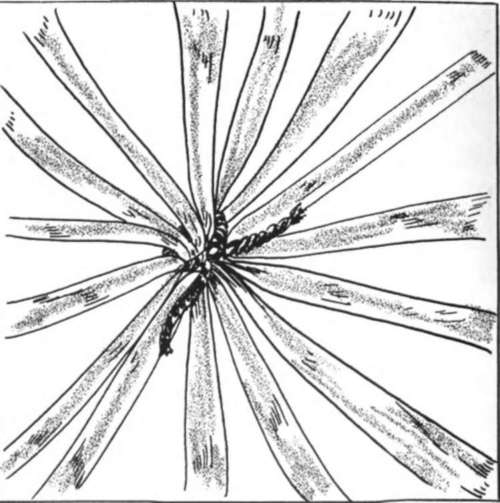 Tie the warp splints
