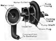 Sectional View of Centrifugal Pump.