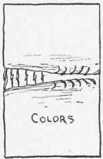 The Robe 147