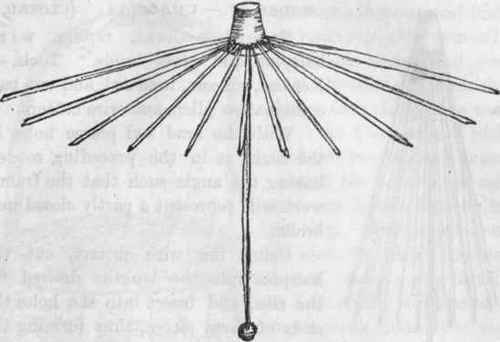 Fig. 3. Detail of Open Umbrella.