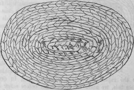 Model II. Table Mat.