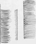 Fig. 11. Lines suggesting convexity.