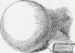 Fig. 12. Still life Study. By J. S. Eland.
