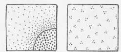 Fig. 38.   Varieties of Dotting.