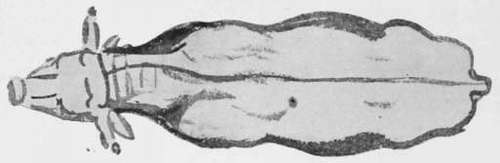 Modelling in the Round. Study by Walter Crane 2.