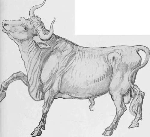 Modelling in the Round. Study by Walter Crane.