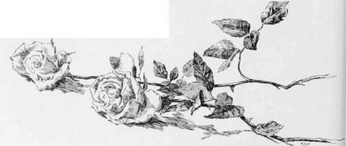 Pen Drawing by E. M. Hallowell 2.