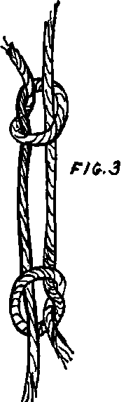 The Fisherman's Knot