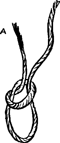 The Slip Noose Or Running Knot