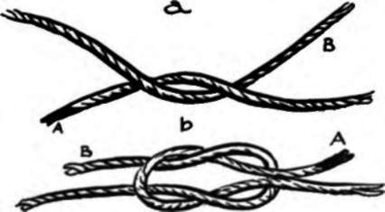 The Square Or Reef Knot