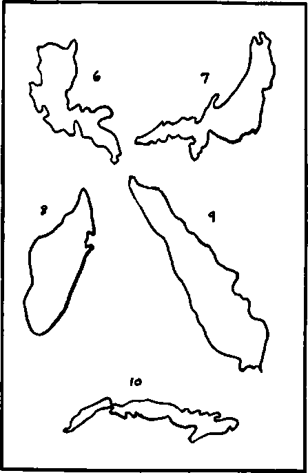 Their Relative Sizes Can Be Estimated