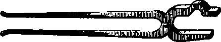 Tongs 100474